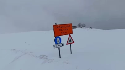 Kar yağışı ve tipi Muş'u felç etti