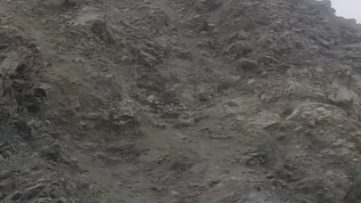 Karakaya Barajı'nda nesli tükenme tehlikesindeki dağ keçileri görüntülendi