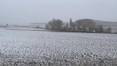 Bazı illerde kar etkili oldu