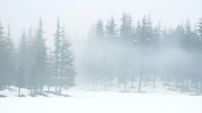 Doğu’da dondurucu soğuk, batıda bahar güneşi