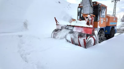 Doğu Anadolu'da kar esareti