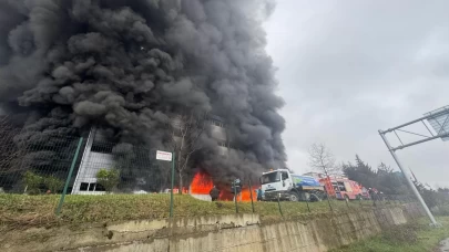 Trabzon’da fındık fabrikasının deposunda yangın paniği
