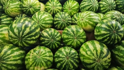 Şeker gibi sulu karpuzu seçmenin 4 altın kuralı!