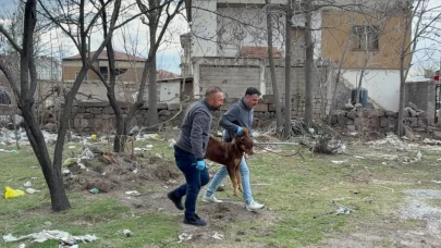 Kayseri’de köpeğin parçaladığı çocuğun 3. ameliyatı gerçekleşti