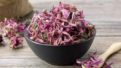 Mikrop kırıcı bitki gündemde!