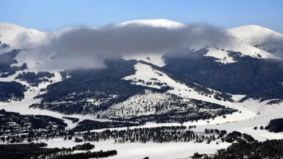 Kars'ta büyüleyen manzara! Sarıçam ormanları beyaza büründü