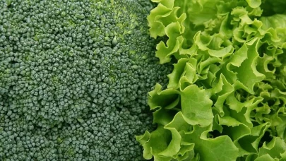 K vitamini mucizesi: Ispanak ve brokoli ile zihinsel hızınızı artırın