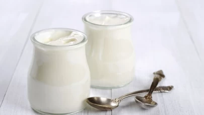 Probiyotik deposu ev yapımı yoğurt