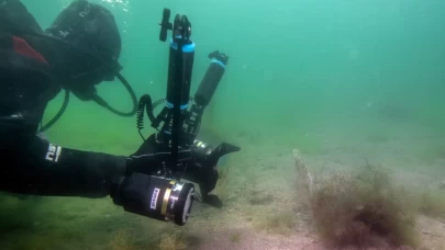 Tuzla sahilinde bilim dünyasını heyecanlandıran keşif! Sanayinin gölgesinde 'mucize' ekosistem