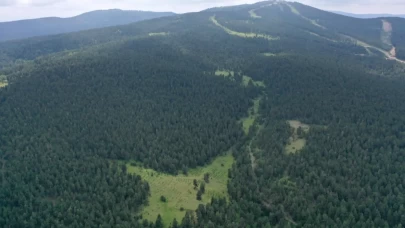 İskenderun’da ormanlık alanda kan donduran olay: 33 yaşındaki gencin cesedi bulundu!