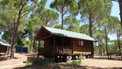 8 ilde “bungalov” dolandırıcılığı operasyonu