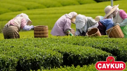 40 yaş sınırı resmen kaldırıldı: Sözleşmeli personel atamalarında yeni dönem