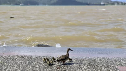 Yağış sonrası deniz kahverengi ve turkuaza büründü