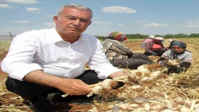 Türk sarımsağı dünya devlerini solladı