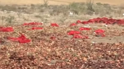 Polatlı’daki 'soğan' skandalına Ticaret Bakanlığı el koydu