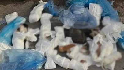 33 kedinin ölü bulunduğu vahşette flaş gelişme!