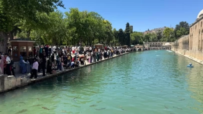 Doğal Akvaryumda iğne atsan yere düşmüyor!