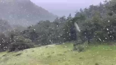 Haziran ayına günler kala kar sürprizi
