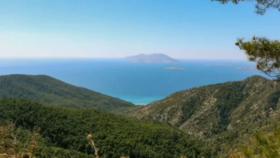 Fiyatı sosyal medyayı karıştırdı