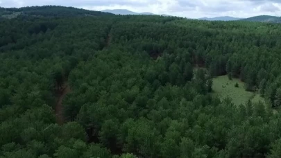 Kahramanmaraş’ta ormanlara giriş yasağı başladı