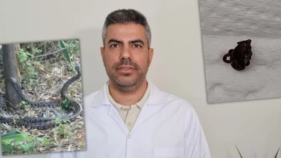 Adana'da sıcaklıklar arttı, yılanlar şehre indi: Uzmanından kritik uyarılar!