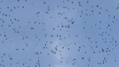 Elazığ’da şok eden anlar! Bir anda ortaya çıktı, gökyüzünü kapladı