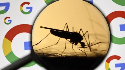 Google'dan çılgın proje! Doğaya 32 milyon kısır sivrisinek salınacak