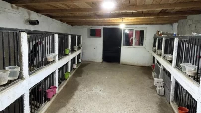 Artvin'de horoz dövüşü baskını: 39 kişiye toplam 508 bin 248 TL ceza kesildi