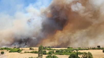 Balıkesir'de arazi yangını: Ekipler havadan ve karadan müdahale ediyor
