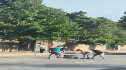 Gebze'de sopalı trafik terörü