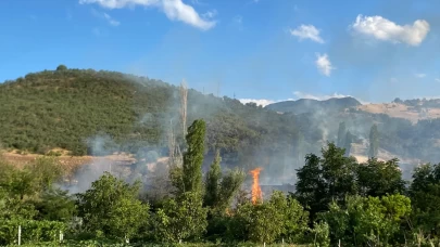 Çorum'da orman yangını: Kontrol altına alındı