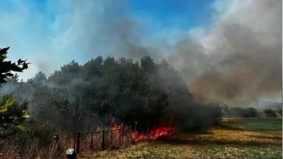Ayvacık’ta otluk alandaki yangına hızlı müdahale