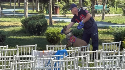 Bakan Göktaş'ın programı öncesi hareketlilik! Parkta bomba araması yapıldı
