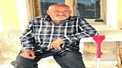 İzmir’de balkonunda uyuyan yaşlı adam ayı saldırısında hayatını kaybetti