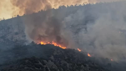 Kaş'taki orman yangını ikinci gününde