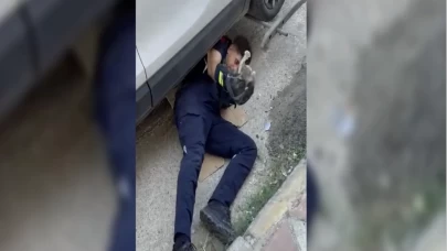 Otomobilin motoruna sıkışan yavru kedi kurtarıldı