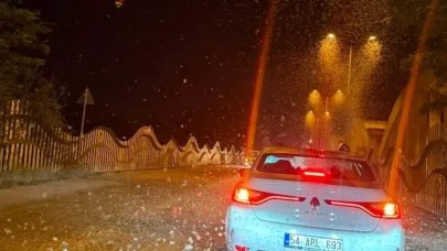 Milyonlarca kelebeğin son dansı kamerada