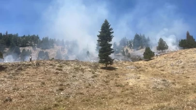 Kahramanmaraş'ta peş peşe iki orman yangını!