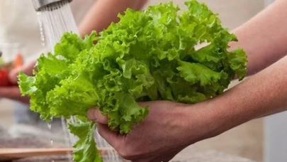 Marul alanlar dikkat! Dev salgının arkasından Cyclospora çıktı
