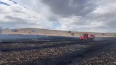 Tarlada Korkutan Yangın