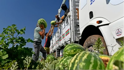 Diyarbakır’ın bal tadındaki karpuzları Türkiye yollarında