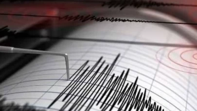 Meksika'da 7,3 büyüklüğünde sarsıntı