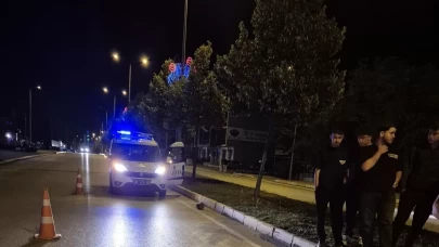 Yola çıkan ineğe motosiklet çarptı
