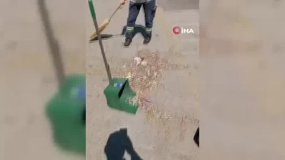 Parkı kirletenlere vatandaş isyanı