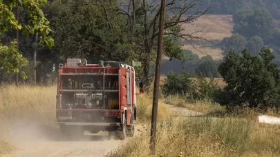 İspanya’daki orman yangınında 12 bin hektar alan zarar gördü