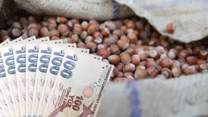 Türkiye fındık ihracatında dünya lideri! Düzce'den rekor ihracat