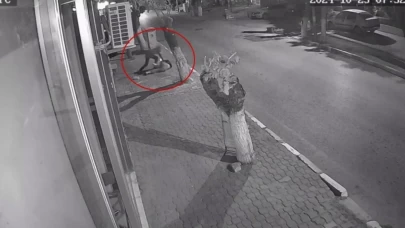 Tahliye edilen saplantılı komşu hakkında karar