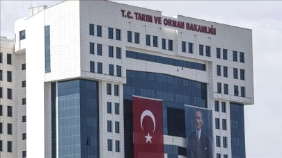 Bu istilacı türü avlayanlara 13 milyon lira destek ödemesi!