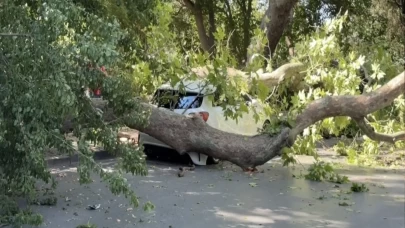 Bakırköy’de asırlık ağaç otomobilin üzerine devrildi