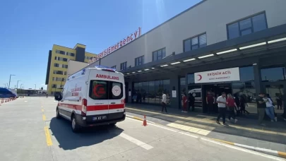 Tadını merak etti, çiçek yedi! Komalık oldu